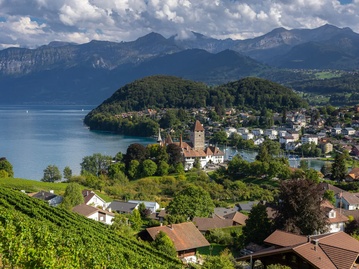 Spiez, son château et ses vignes au bord du lac de Thoune
